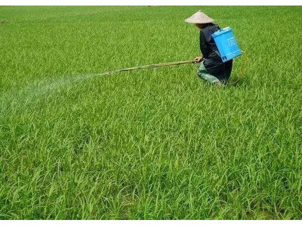 纳米研磨黄色视频南瓜视频农药新剂型产品